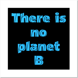 PLANET B 31 Posters and Art